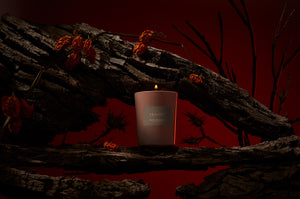Frassai Fruto Prohibido - Forbidden Fruit scented candle. Pomegranate Seeds, Narcotic Narcissus, Dark Oak, Decadent Vanilla, Leather. While picking narcissus flowers in a meadow, Persephone was abducted. Whether or not she knew that anyone who had eaten in the Underworld would not be allowed to return to the world above… Persephone went ahead, and ate six or seven of the pomegranate seeds. Light the Fruto Prohibido candle and cross over to a forbidden world.