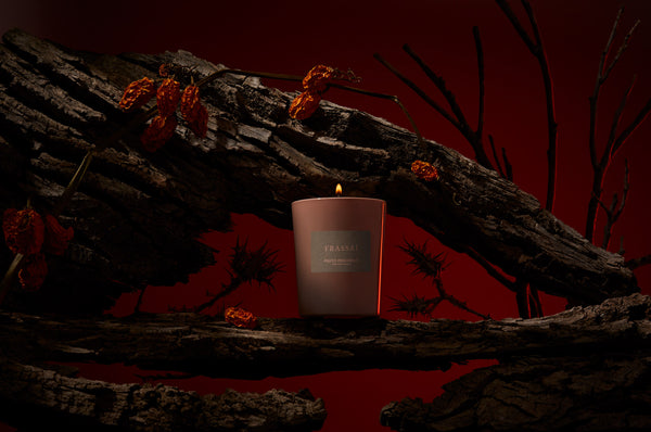 Frassai Fruto Prohibido - Forbidden Fruit scented candle. Pomegranate Seeds, Narcotic Narcissus, Dark Oak, Decadent Vanilla, Leather. While picking narcissus flowers in a meadow, Persephone was abducted. Whether or not she knew that anyone who had eaten in the Underworld would not be allowed to return to the world above… Persephone went ahead, and ate six or seven of the pomegranate seeds. Light the Fruto Prohibido candle and cross over to a forbidden world.