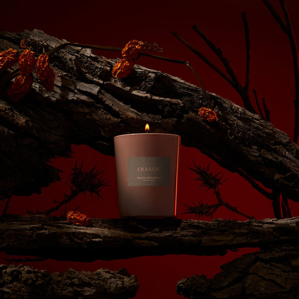 Frassai Fruto Prohibido - Forbidden Fruit scented candle. Pomegranate Seeds, Narcotic Narcissus, Dark Oak, Decadent Vanilla, Leather. While picking narcissus flowers in a meadow, Persephone was abducted. Whether or not she knew that anyone who had eaten in the Underworld would not be allowed to return to the world above… Persephone went ahead, and ate six or seven of the pomegranate seeds. Light the Fruto Prohibido candle and cross over to a forbidden world.