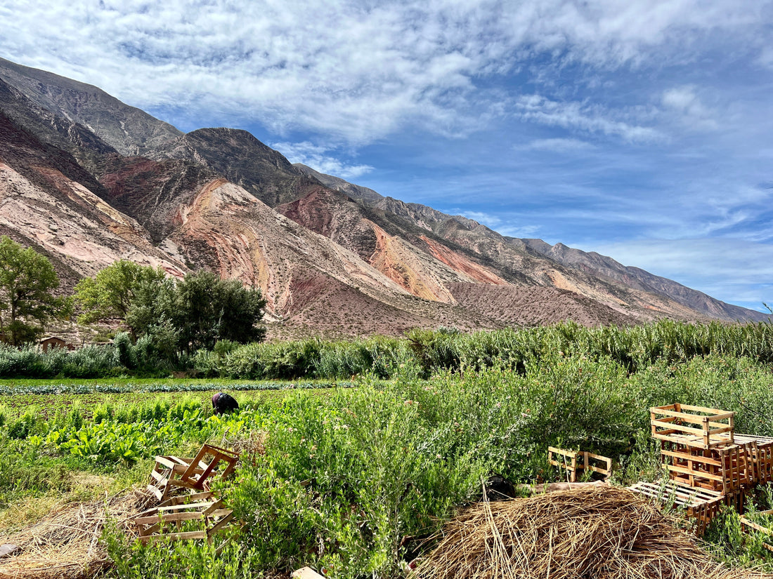 Frassai Slow Living - Jujuy, Argentina. 