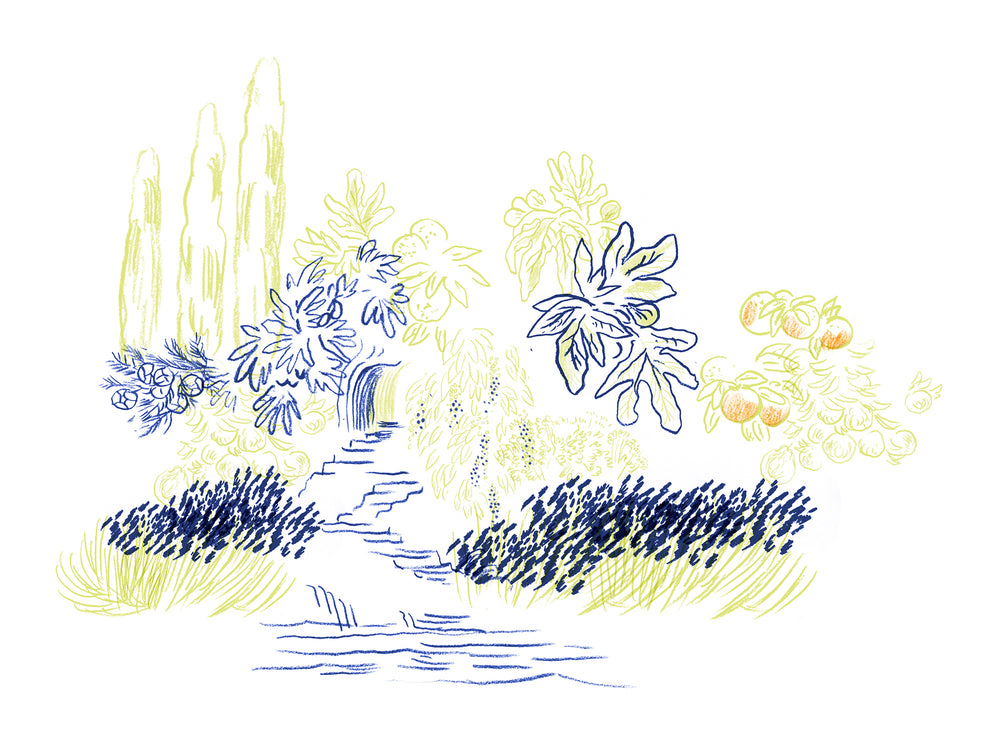 Frassai_a_sigh_of_dawn_2026