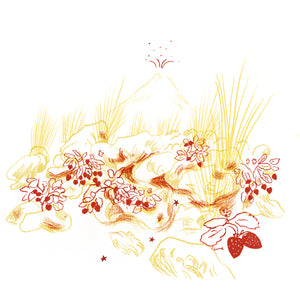 Fraise de Nuit