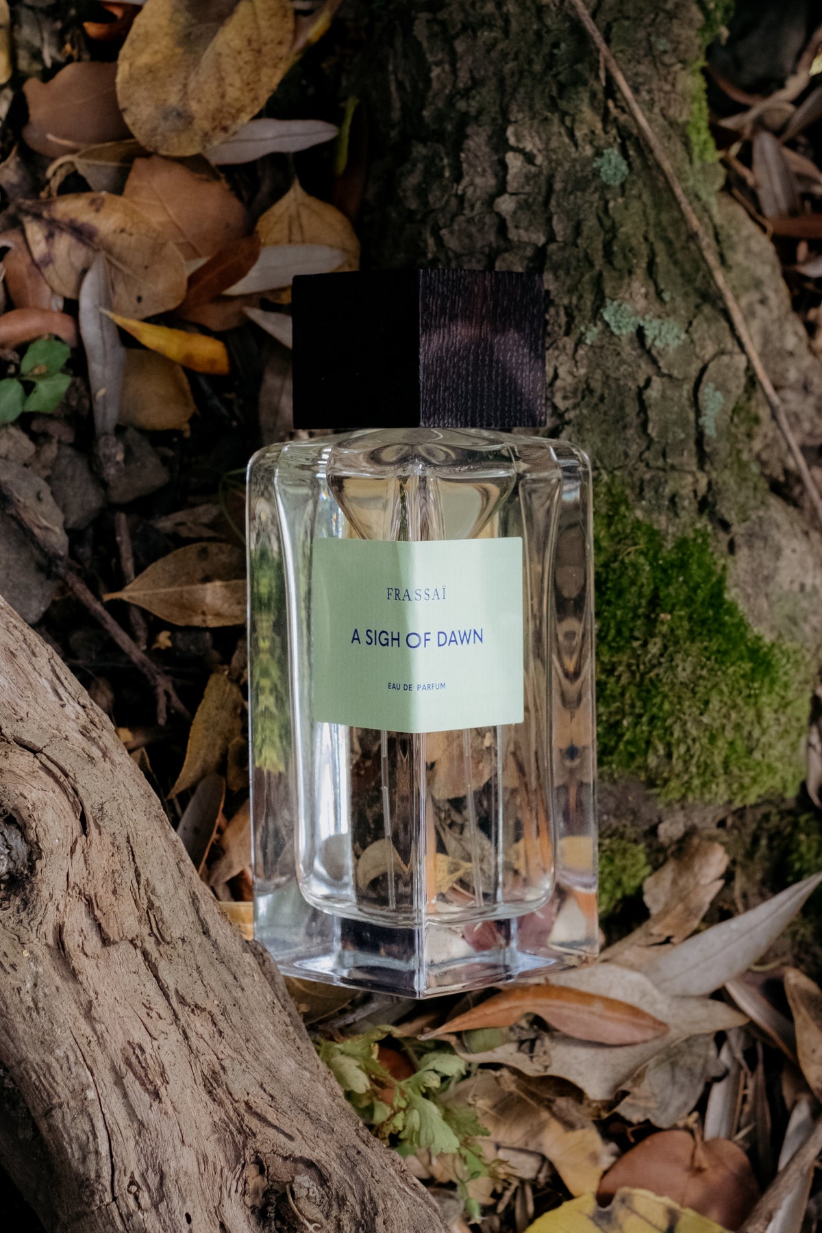 Frassai numbered edition fragrance 2026 A Sigh of Dawn - fig leaves, green mandarin, cedarwood, vanilla upcycled.