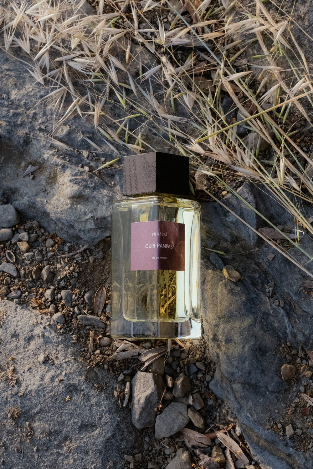Frassaï Cuir Pampas 100ml